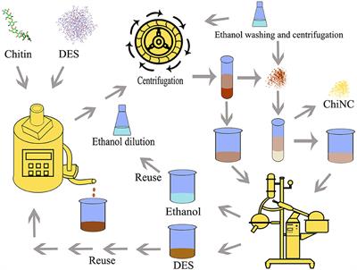 Commentary: Preparation, characterization and application of rod-like chitin nanocrystal by using p-toluenesulfonic acid/choline chloride deep eutectic solvent as a hydrolytic media